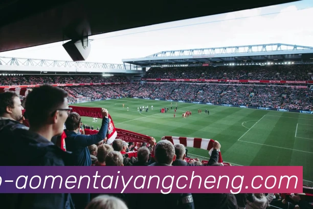 澳门太阳城APP 封面图